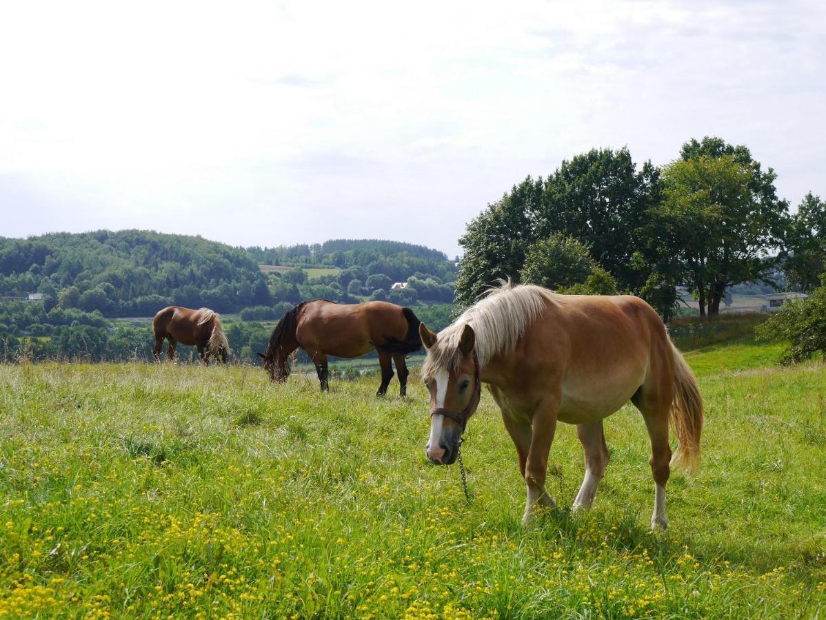 Agroturystyka Pod Ptasią Górą Golubie Exterior foto