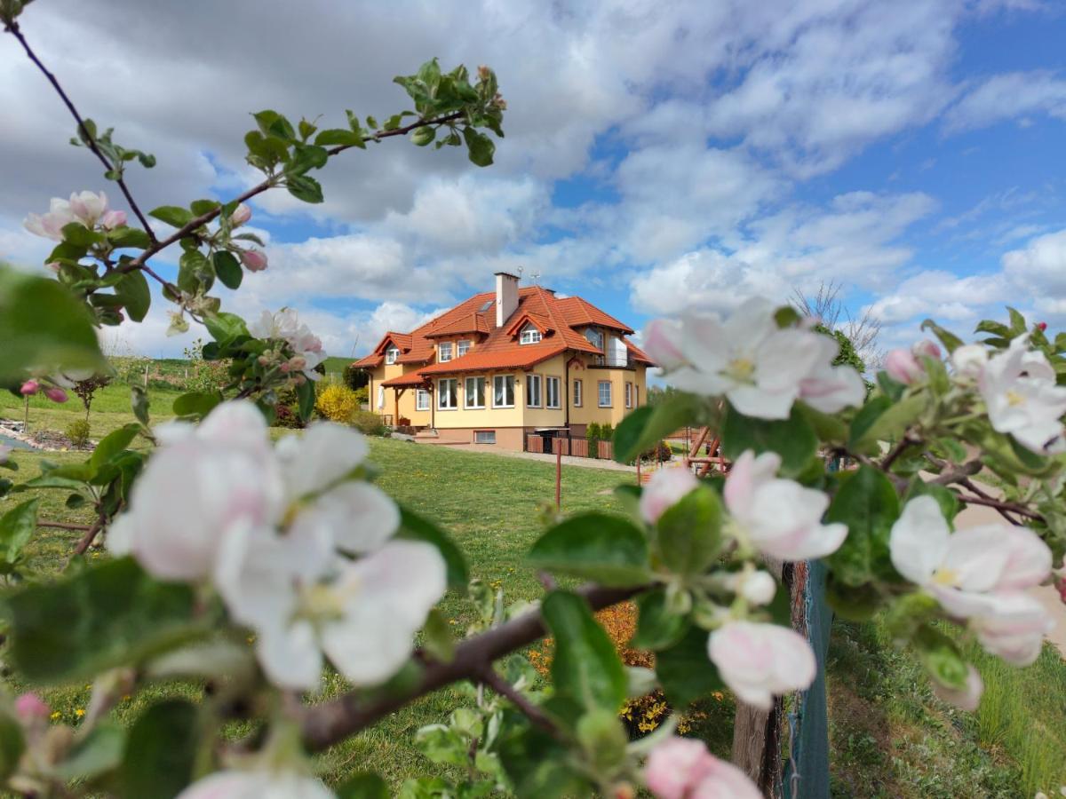 Agroturystyka Pod Ptasią Górą Golubie Exterior foto
