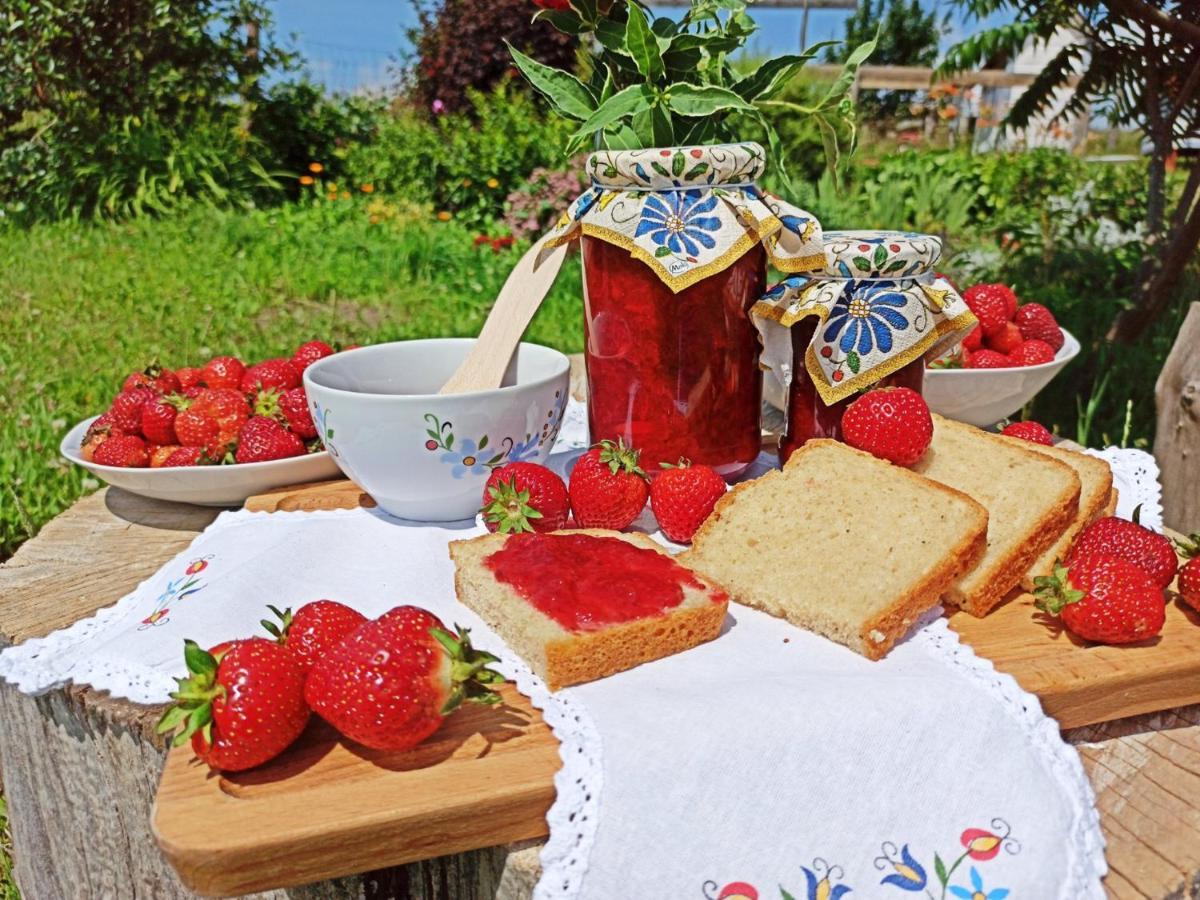 Agroturystyka Pod Ptasią Górą Golubie Exterior foto