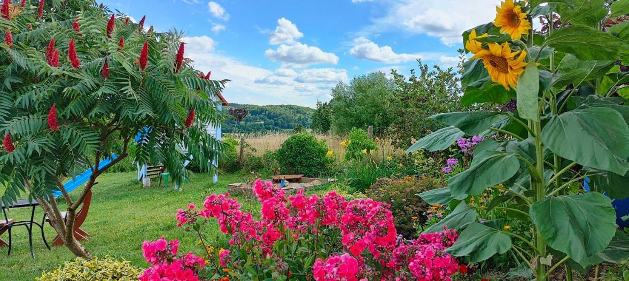Agroturystyka Pod Ptasią Górą Golubie Exterior foto
